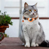 Reflective Cat Collar with Apple AirTag Holder